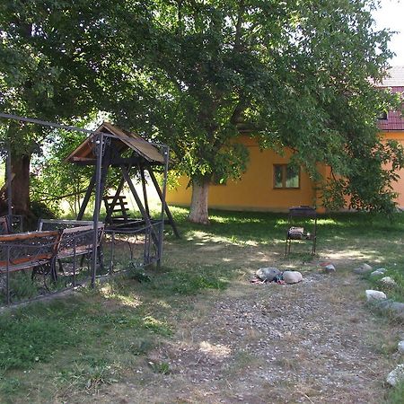 Pensiunea Mir Bran  Buitenkant foto