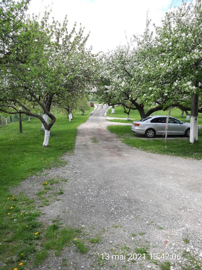 Pensiunea Mir Bran  Buitenkant foto