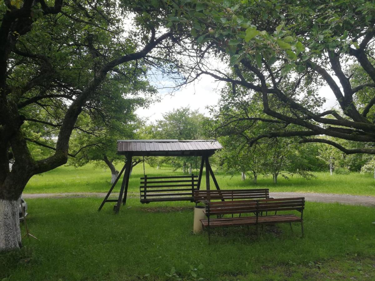 Pensiunea Mir Bran  Buitenkant foto