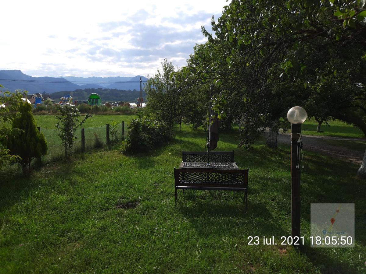 Pensiunea Mir Bran  Buitenkant foto
