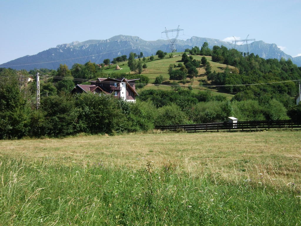 Pensiunea Mir Bran  Buitenkant foto